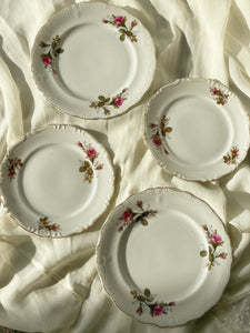 Vintage Floral Plates Set of 2 ( Small)