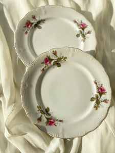 Vintage Floral Plates Set of 2 ( Large)