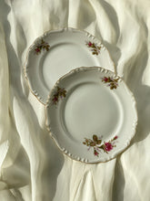 Load image into Gallery viewer, Vintage Floral Plates Set of 2 ( Small)
